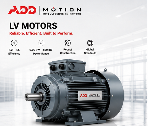 LV electric motor